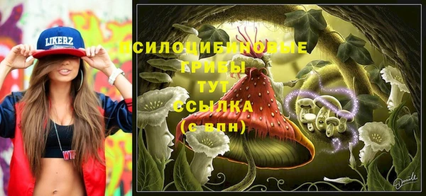 кристаллы Белоозёрский